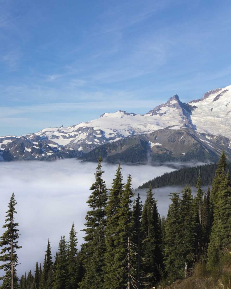 Art Print: Washington, Mount Rainier NP Sunrise Point
