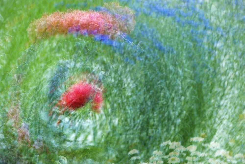 Art Print: WA, Whidbey Isl Montage of flowers and greenery