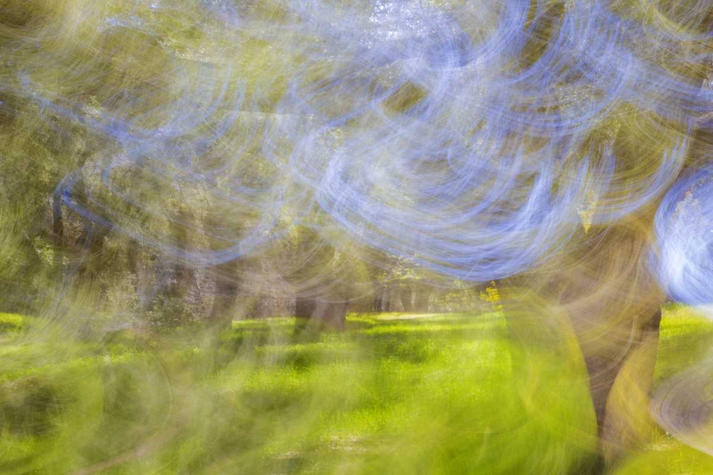 Art Print: Mexico, Tecate Motion blurred outside abstract