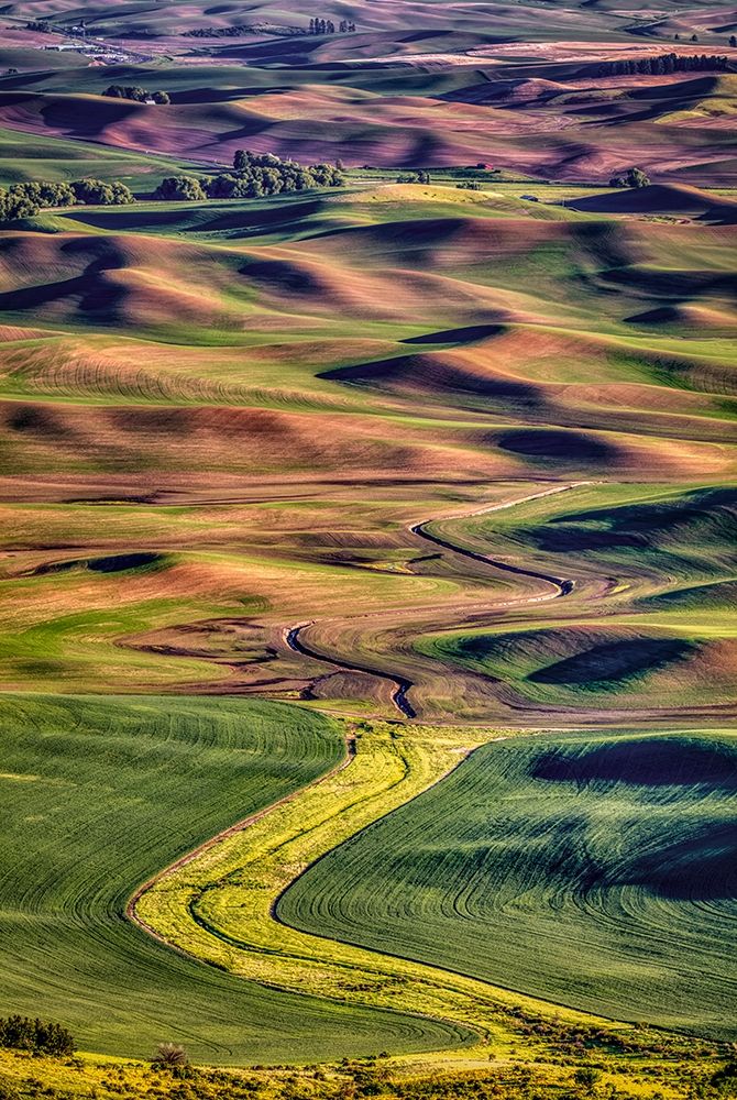 Art Print: Washington State-Palouse Steptoe Butte at sunset 