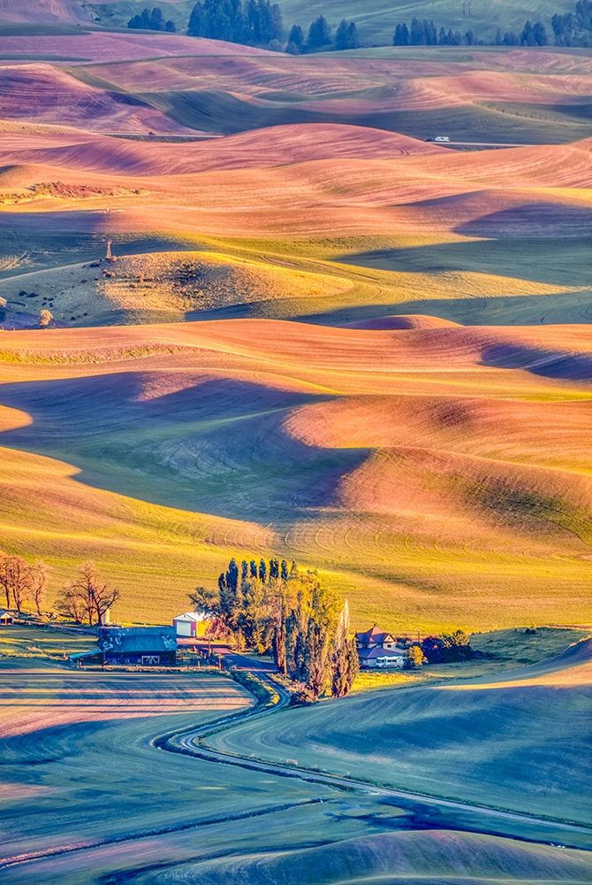 Art Print: Washington State-Palouse Steptoe Village and farmland at sunset 