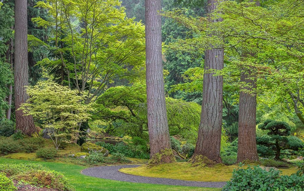 Art Print: Washington State-Bainbridge Island Garden path composite panoramic
