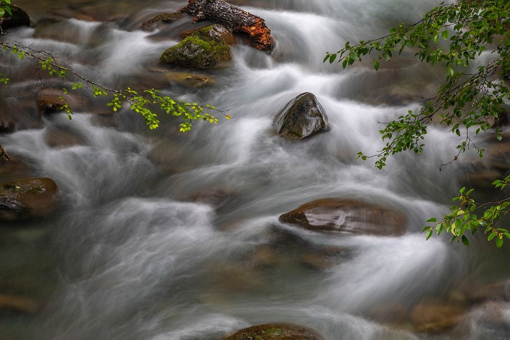Art Print: Washington State-Olympic National Park Dungeness River rapids 