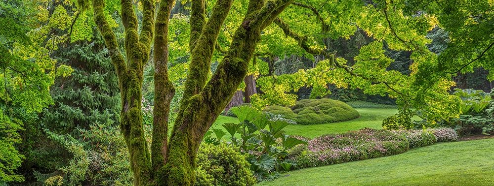 Art Print: Washington State-Bainbridge Island Panoramic of garden 