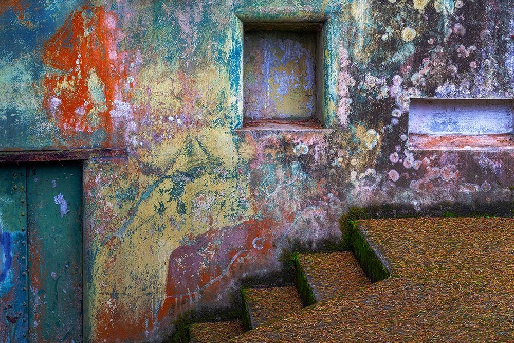 Art Print: Washington State-Port Townsend-Fort Worden State Park Painted walls and stairway 