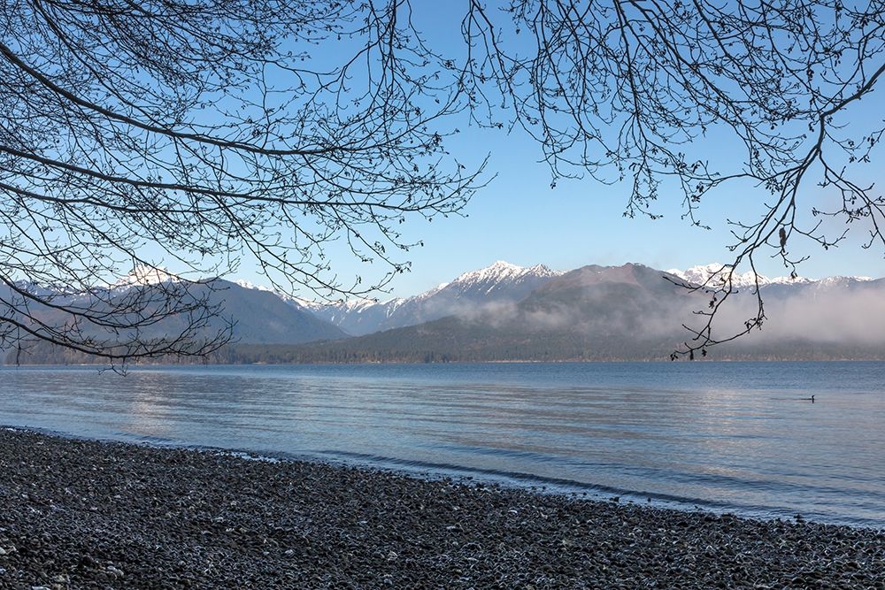 Art Print: Washington State-Seabeck Winter morning on Hood Canal beach