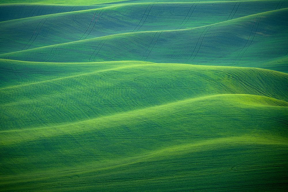 Art Print: USA-Washington-Palouse-Rolling spring wheat fields