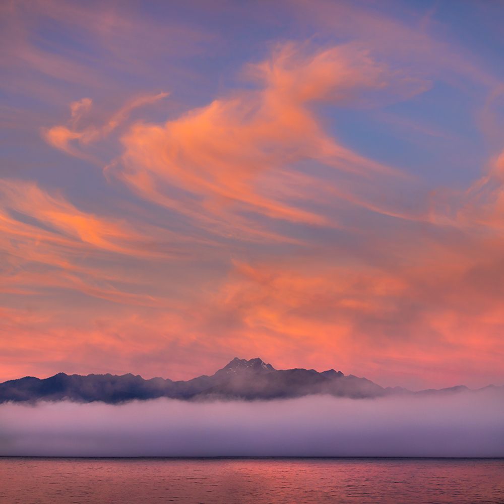 Wall Art Painting id:742399, Name: USA, Washington State, Seabeck. Fog layer at sunrise on Hood Canal and Olympic Mountains., Artist: Jaynes Gallery