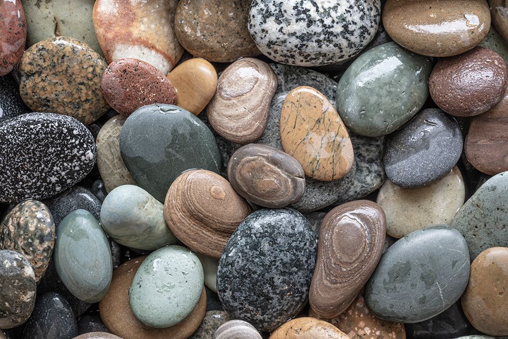 Similar wall art painting: 742402