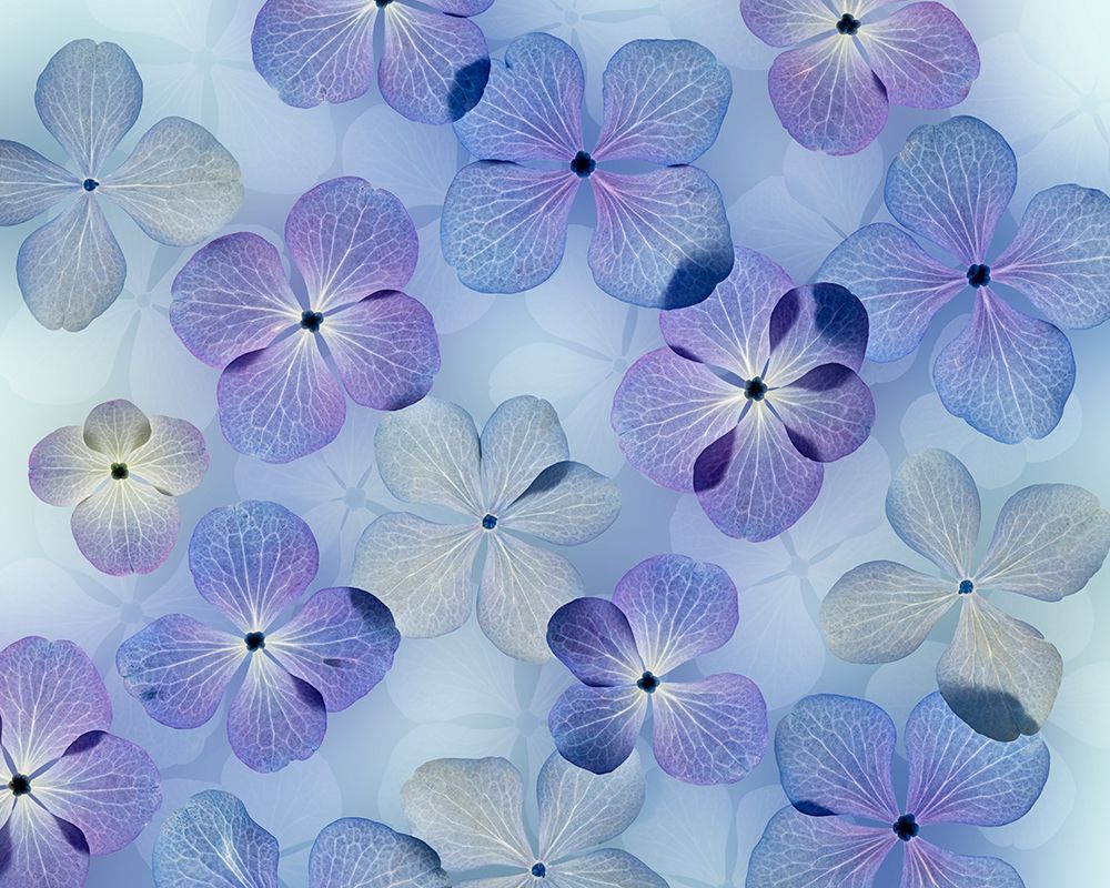 Similar wall art painting: 742414