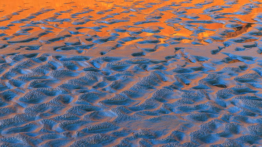Art Print: USA, Washington State, Copalis Beach. Reflection on beach sand at sunset.