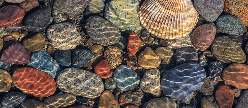 Art Print: USA, Washington State, Seabeck. Panoramic  of beach rocks and cockle shell on Hood Canal shore.