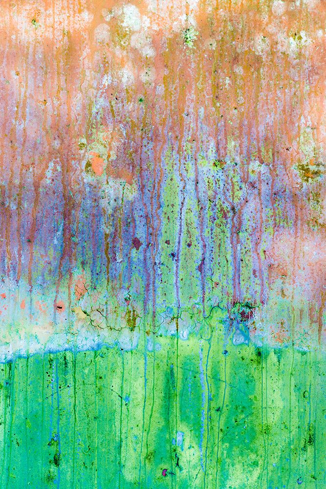 Art Print: USA, Washington State, Camp Hayden. Close-up of weathered paint on metal wall.