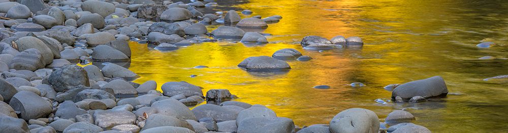 Art Print: USA, Washington State, Olympic National Park. Golden maple tree reflections on Sol Duc River.