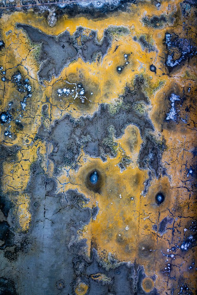 Art Print: USA, Washington State, Port Townsend, Fort Worden State Park. Decay patterns on wall.