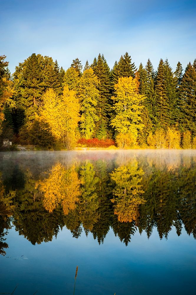 Wall Art Painting id:406555, Name: Washington State-Cle Elum Fall color by a pond in Central Washington, Artist: Duval, Richard
