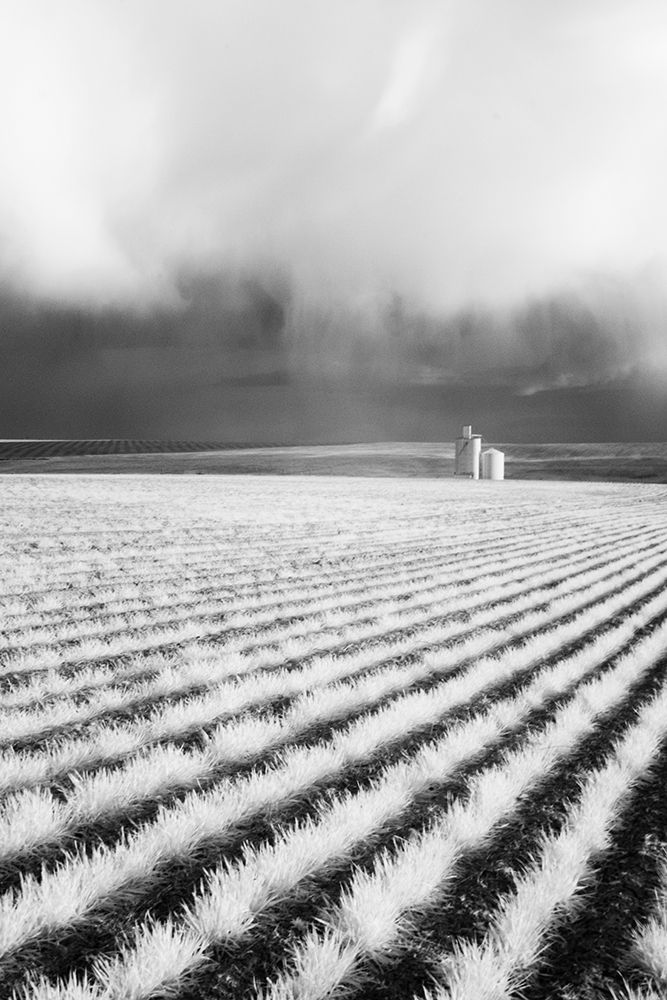 Similar wall art painting: 520329