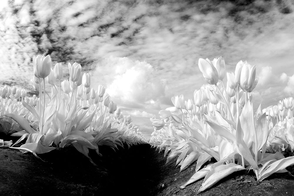 Similar wall art painting: 520335