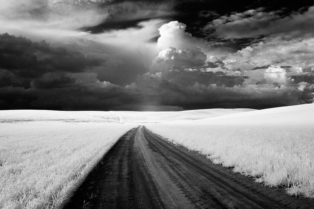 Similar wall art painting: 520336