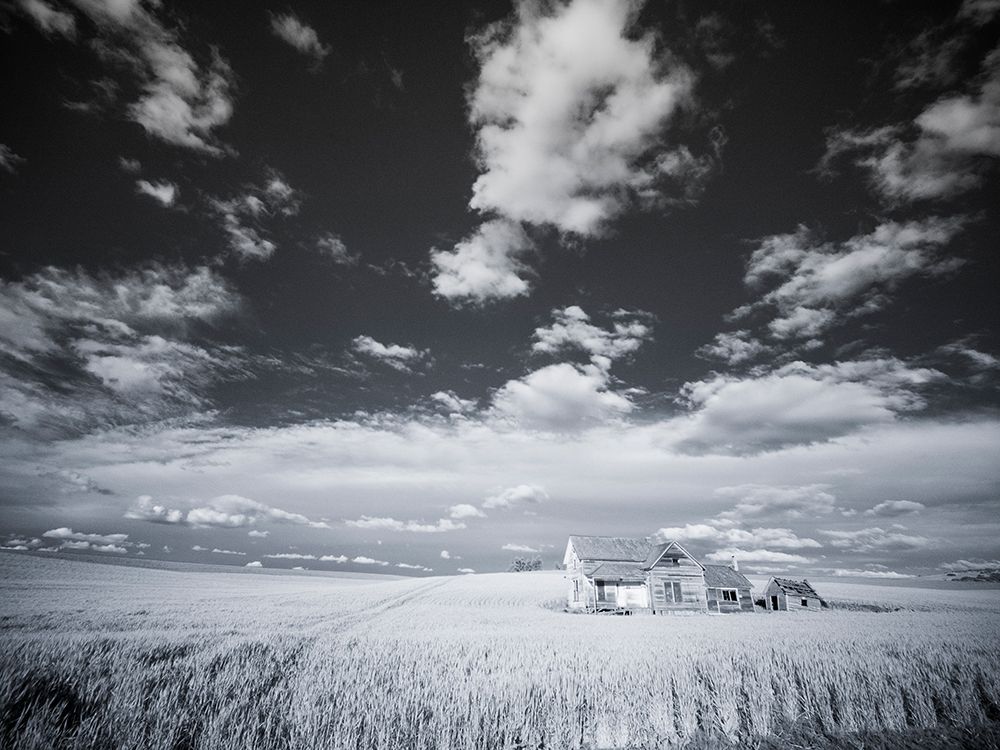 Wall Art Painting id:515389, Name: USA-Washington State-Palouse Infrared of old homestead with special clouds, Artist: Eggers, Terry