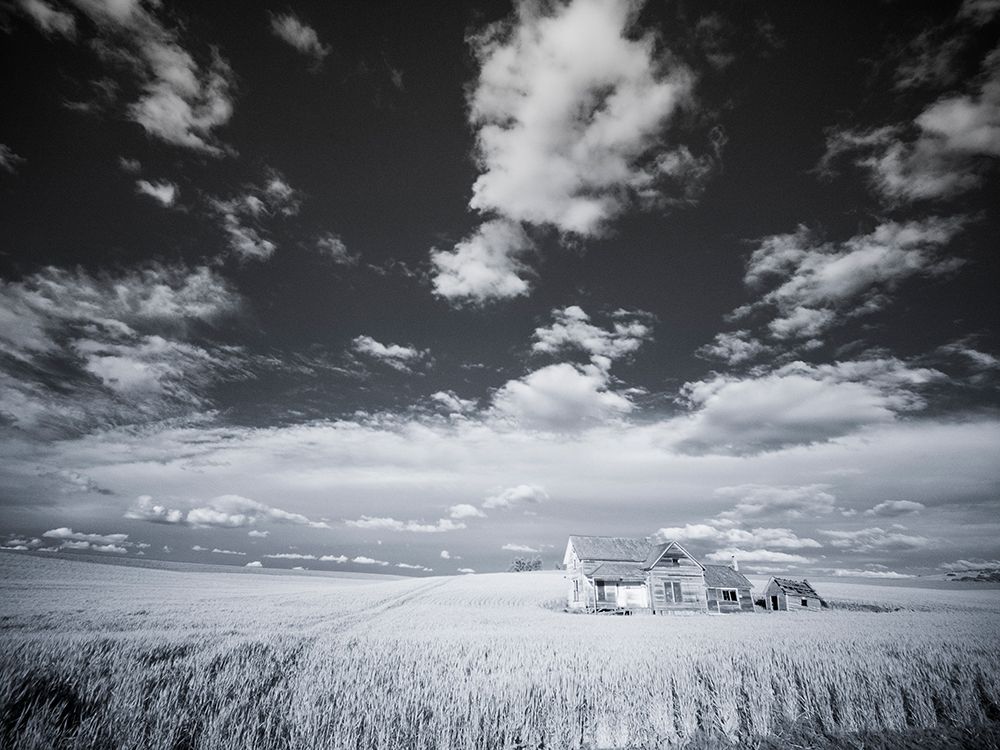 Wall Art Painting id:515389, Name: USA-Washington State-Palouse Infrared of old homestead with special clouds, Artist: Eggers, Terry