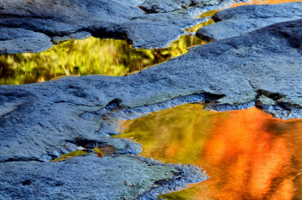 Art Print: WV, Blackwater Falls SP Autumn reflections