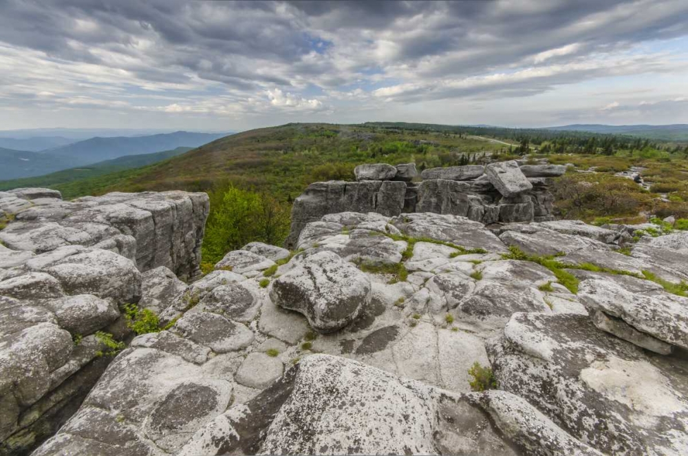 Art Print: WV, Landscape in Dolly Sods Wilderness Area
