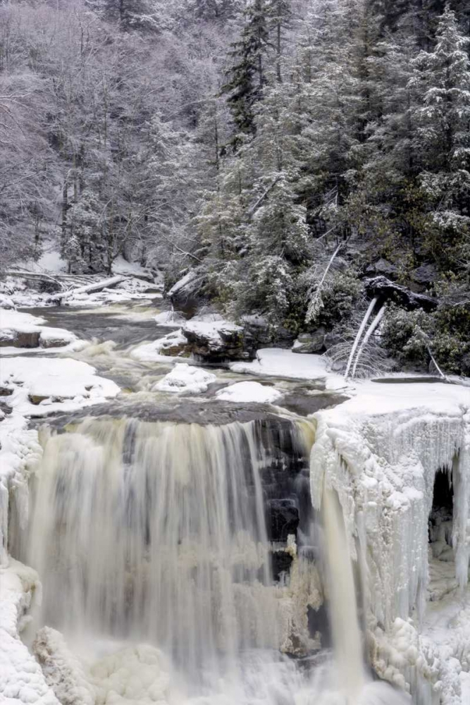 Art Print: West Virginia Waterfall in winter landscape