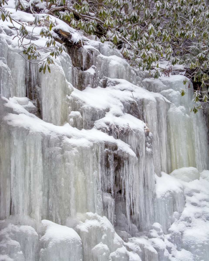 Wall art: West Virginia, Blackwater Falls Frozen waterfall, by OBrien, Jay