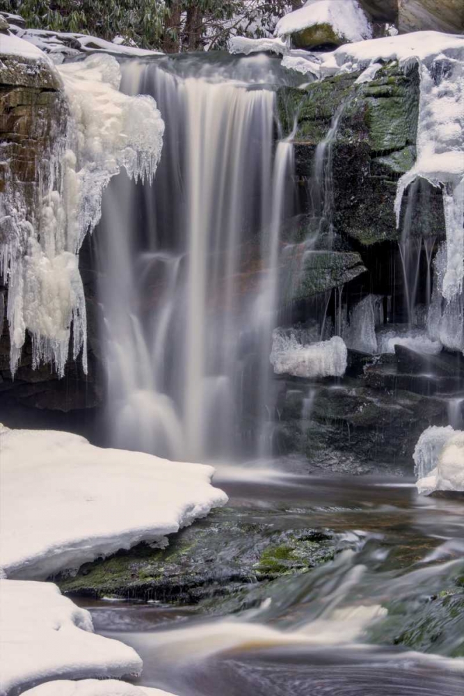 Art Print: West Virginia, Blackwater Falls Frozen waterfall