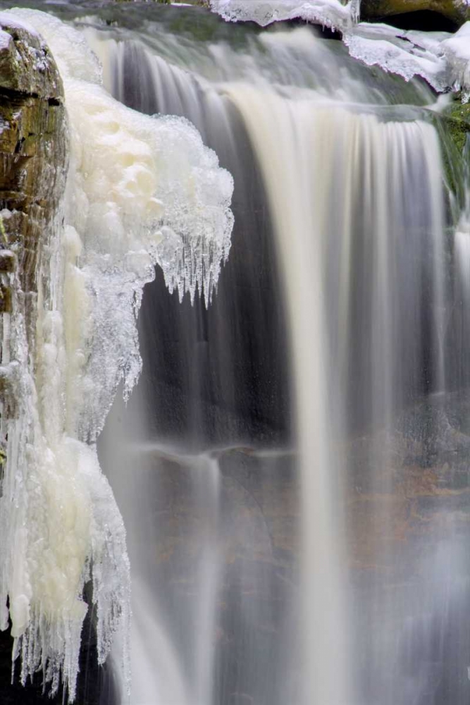 Art Print: West Virginia, Blackwater Falls Frozen waterfall