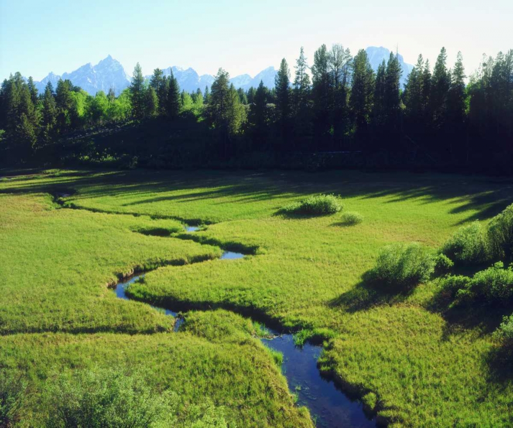 Art Print: WY, Grand Tetons Grand Tetons and a lush meadow