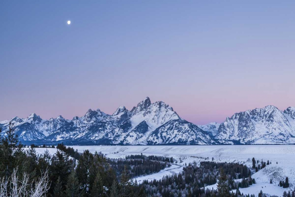 Wall art: Wyoming, Grand Tetons Moon over winter landscape, by Illg, Cathy and Gordon