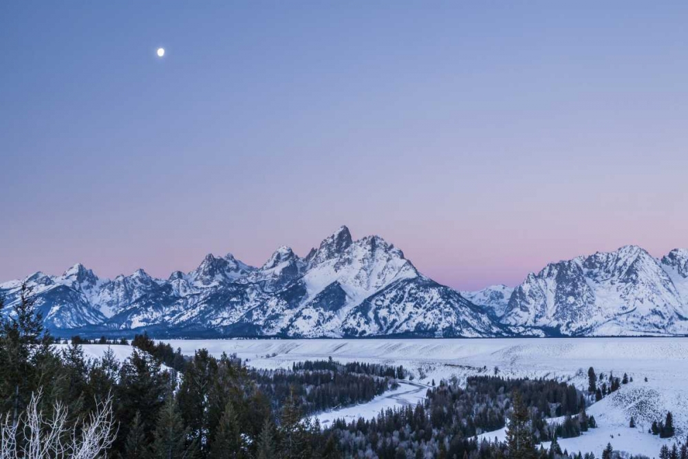 Wall Art Painting id:129789, Name: Wyoming, Grand Tetons Moon over winter landscape, Artist: Illg, Cathy and Gordon