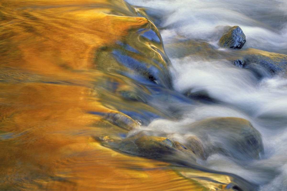 Art Print: Northeast, Fall reflections on stream rapids