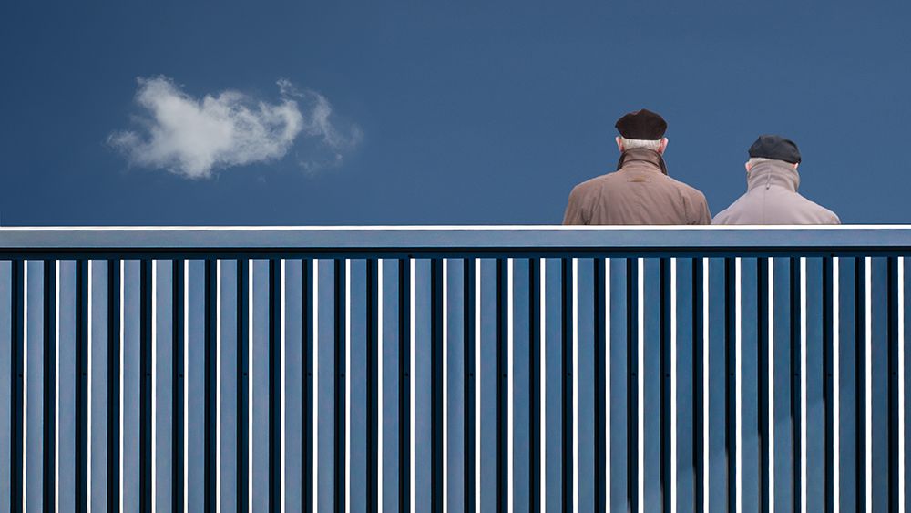 Art Print: The Fence