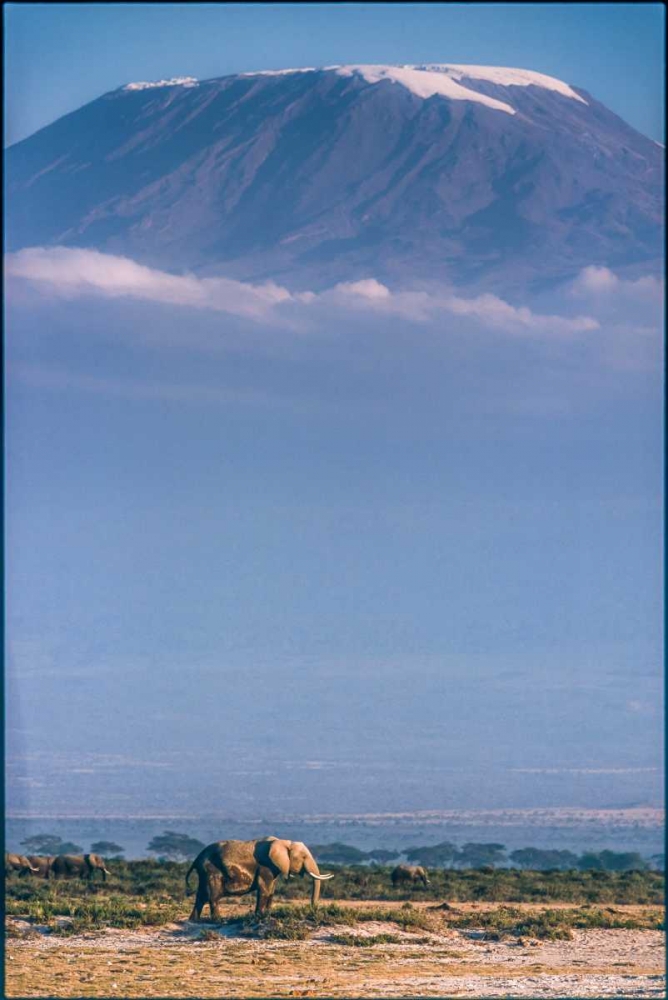 Art Print: Kilimanjaro And The Quiet Sentinels