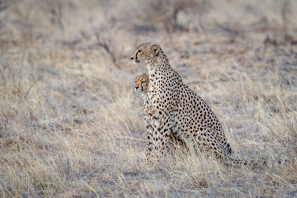 Art Print: Madonna and Child