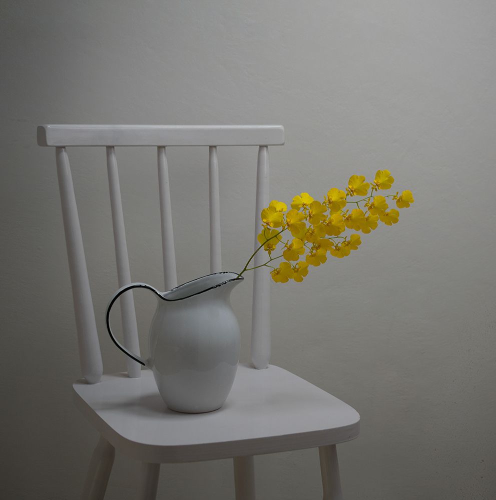 Art Print: Simplicity Of Life