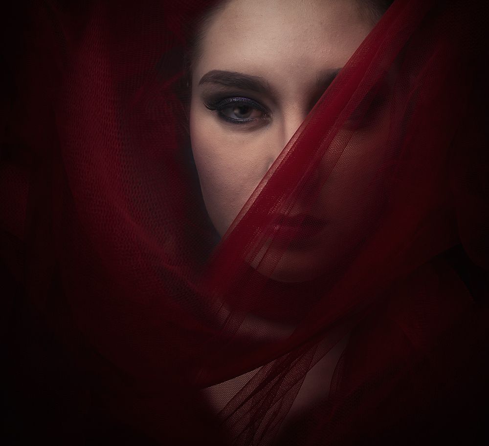 Art Print: Red Panther