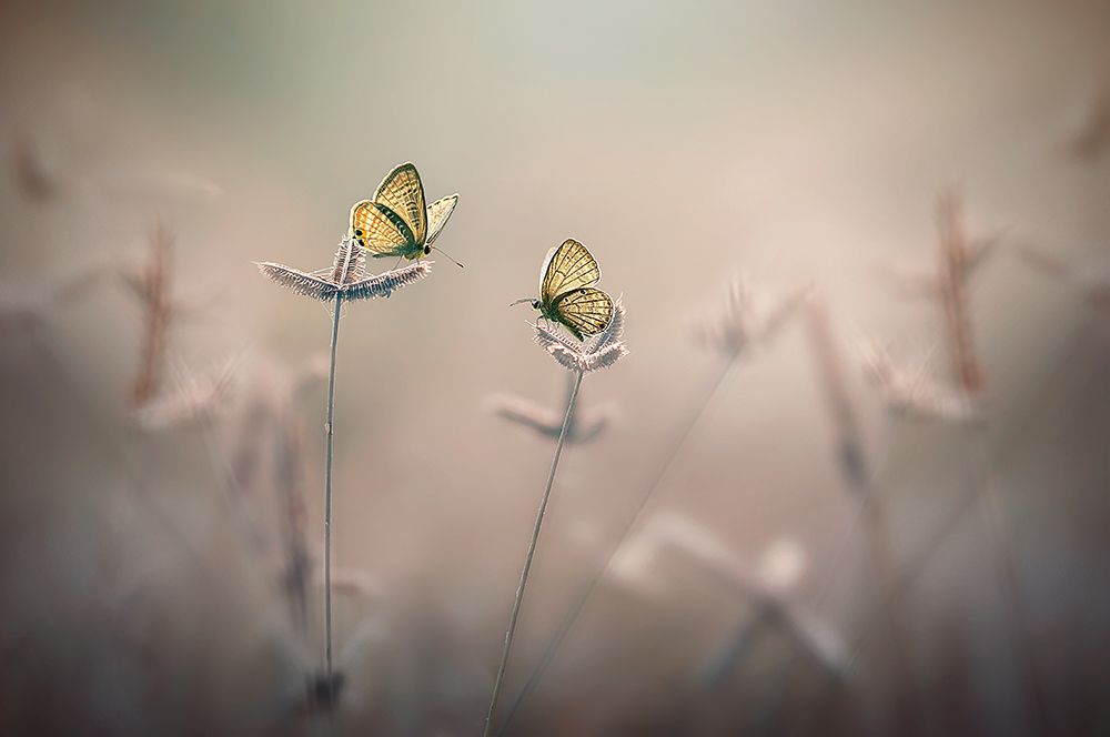 Similar wall art painting: 463804