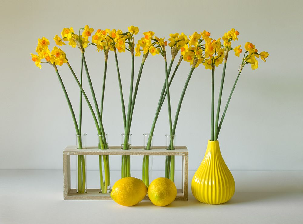 Similar wall art painting: 463839