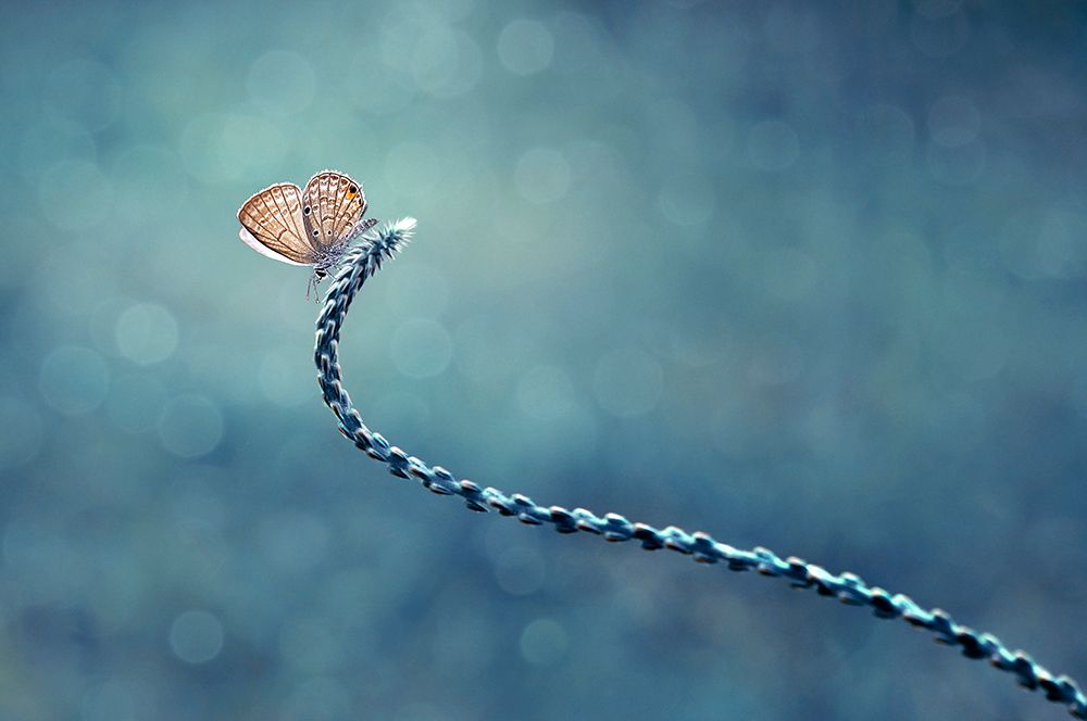 Similar wall art painting: 504492