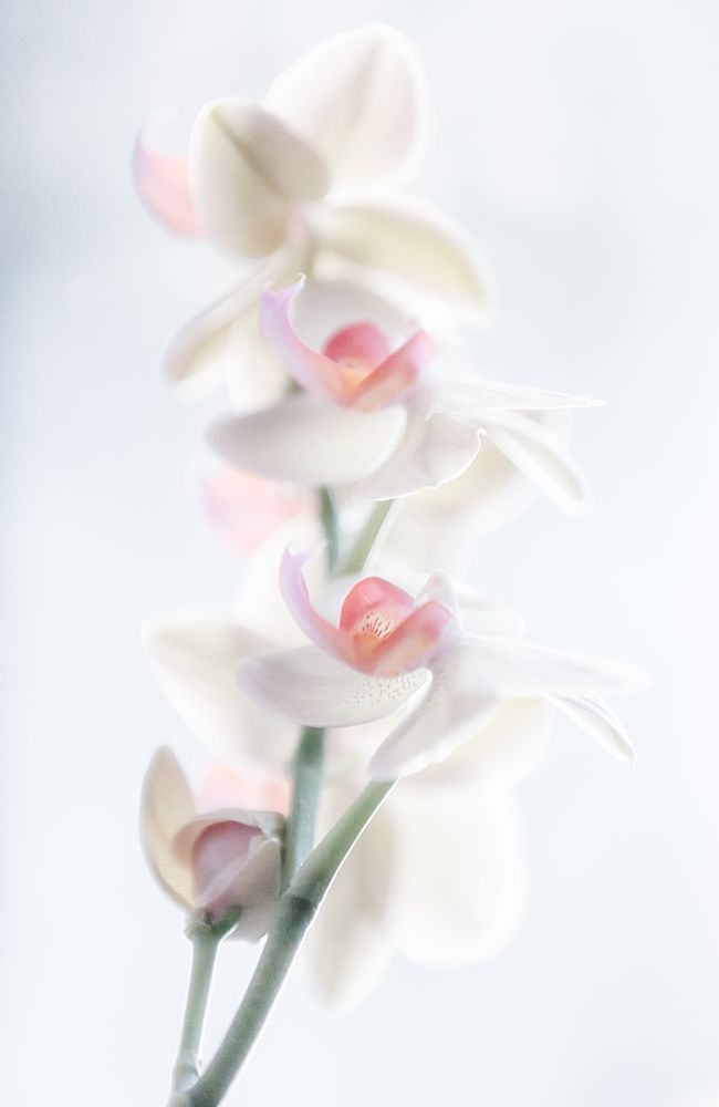 Similar wall art painting: 463935