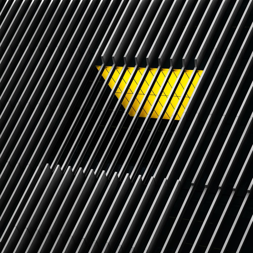 Art Print: Caged Window