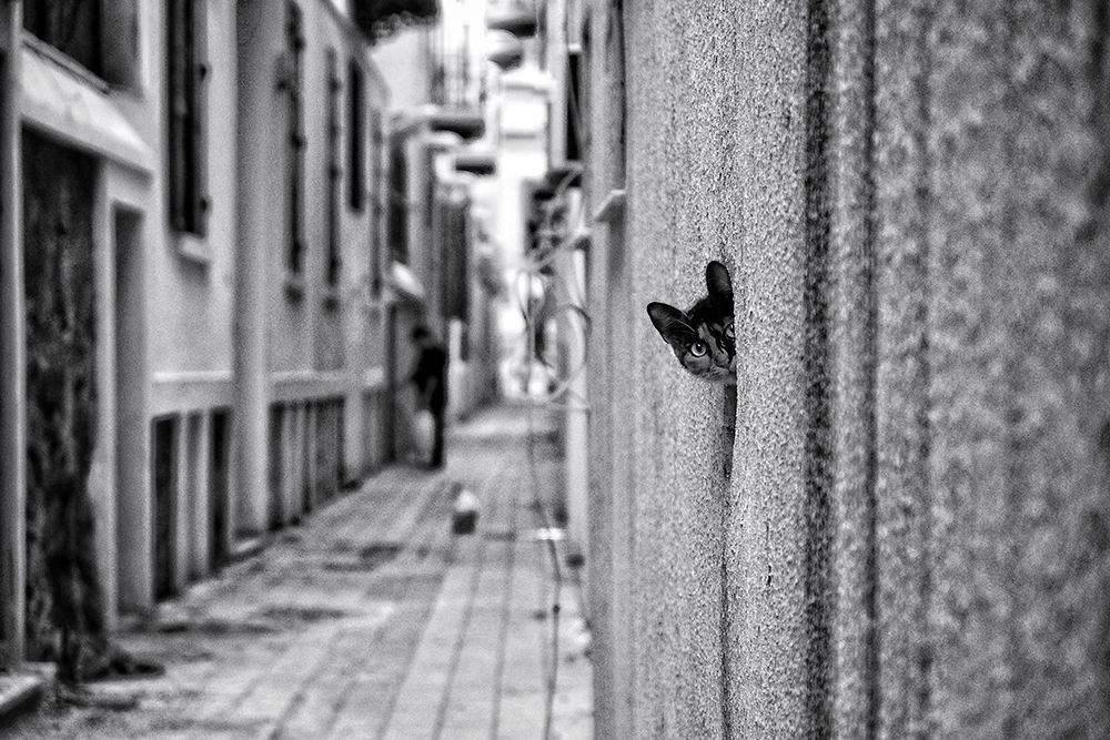 Similar wall art painting: 463993