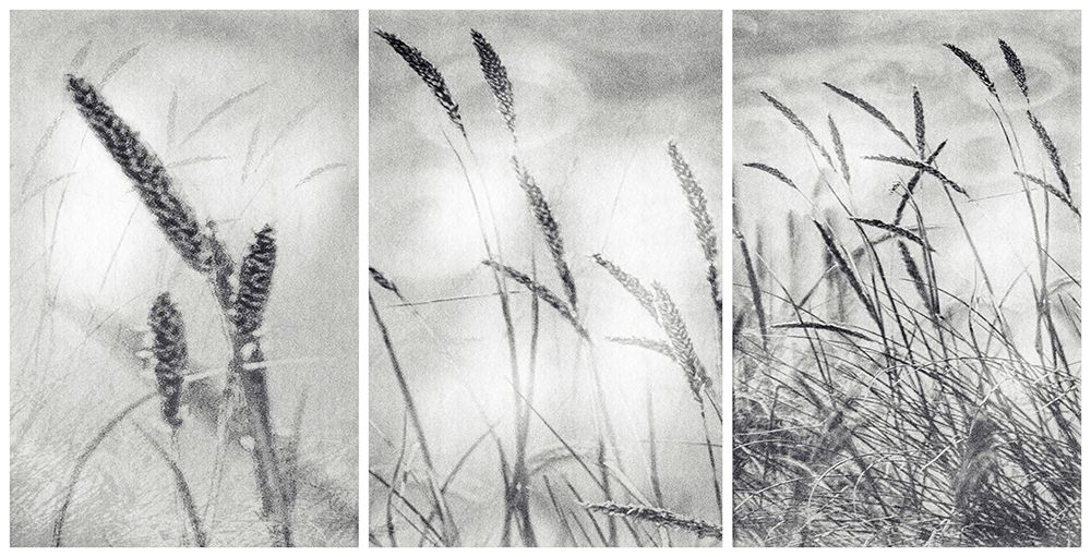 Similar wall art painting: 464085