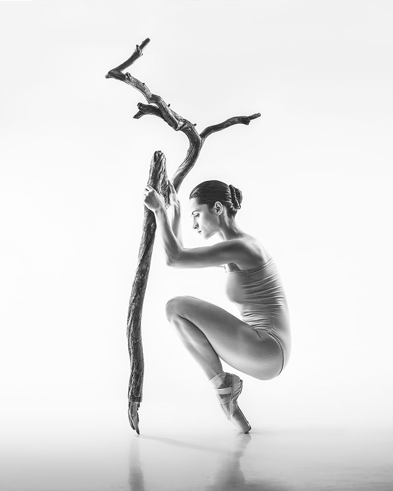 Similar wall art painting: 504597