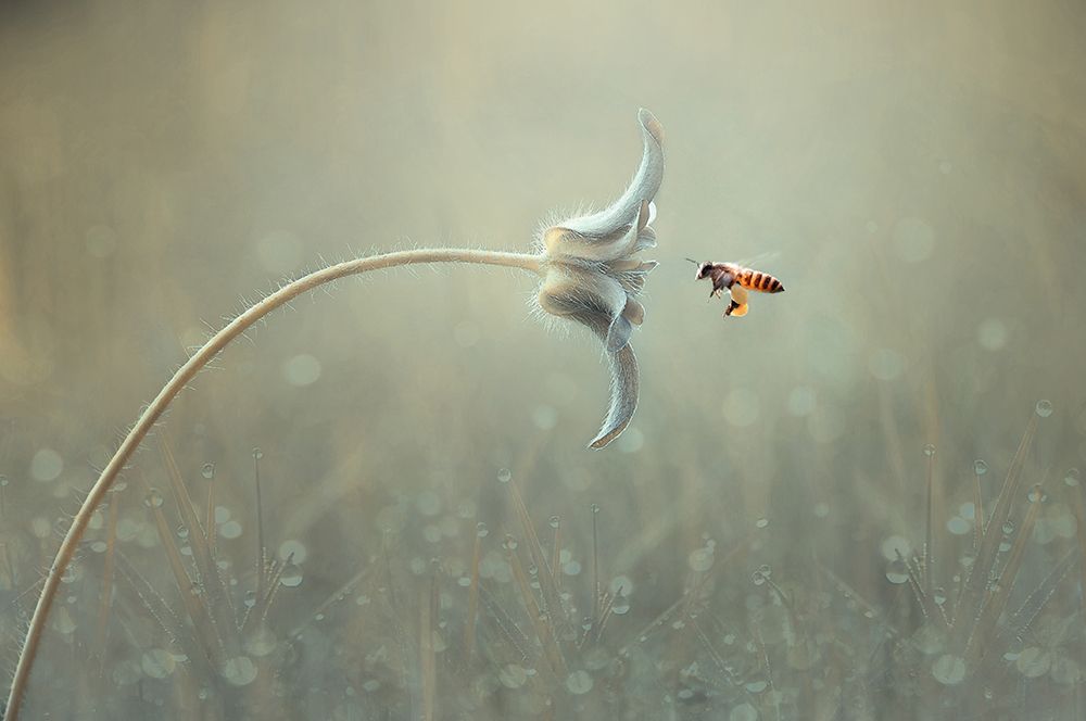 Similar wall art painting: 697527