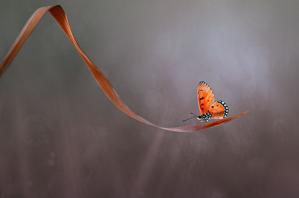 Similar wall art painting: 464598